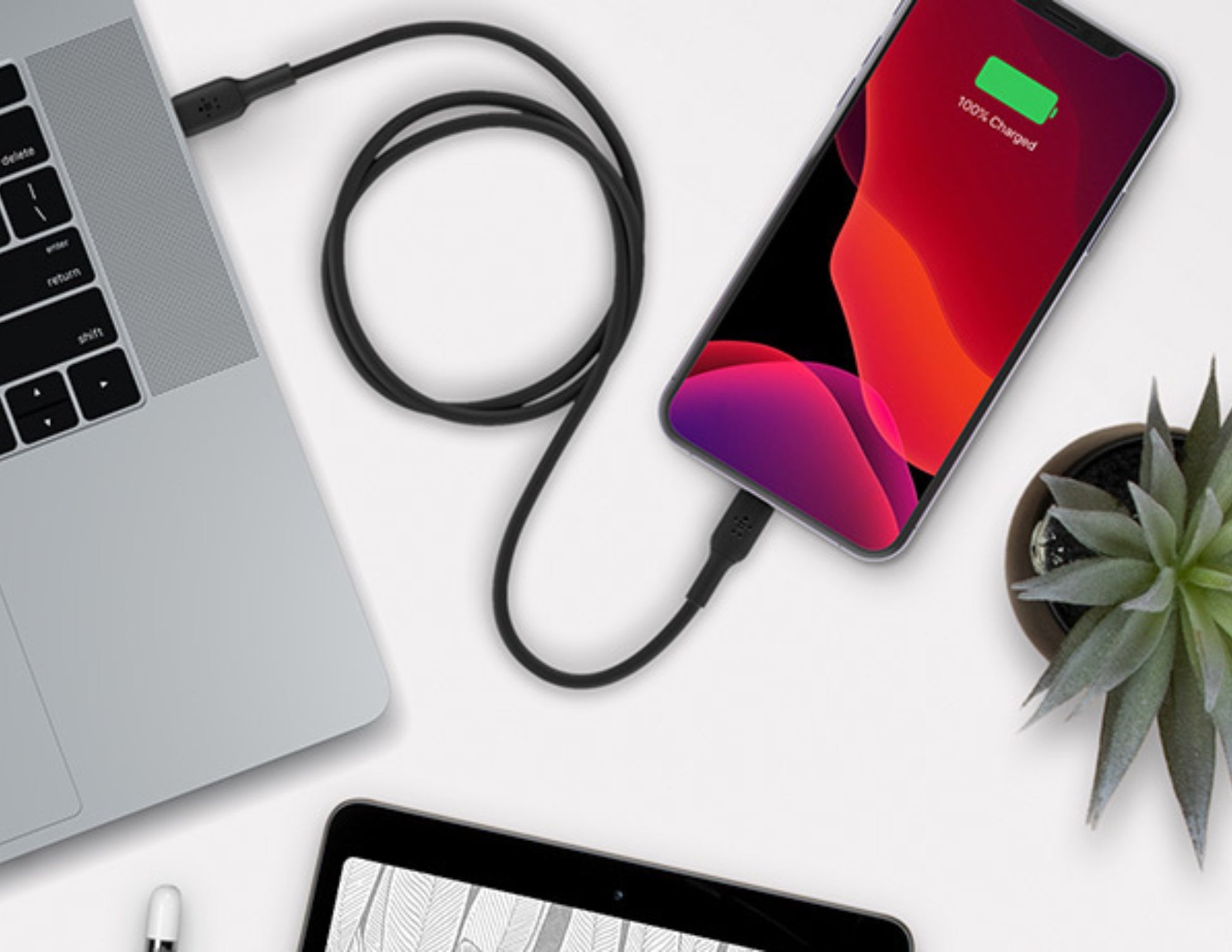 Laptop, smartphone, and tablet on a white surface with a plant & Belkin BoostCharge USB-C to Lightning Cable 1M CAA003bt1M