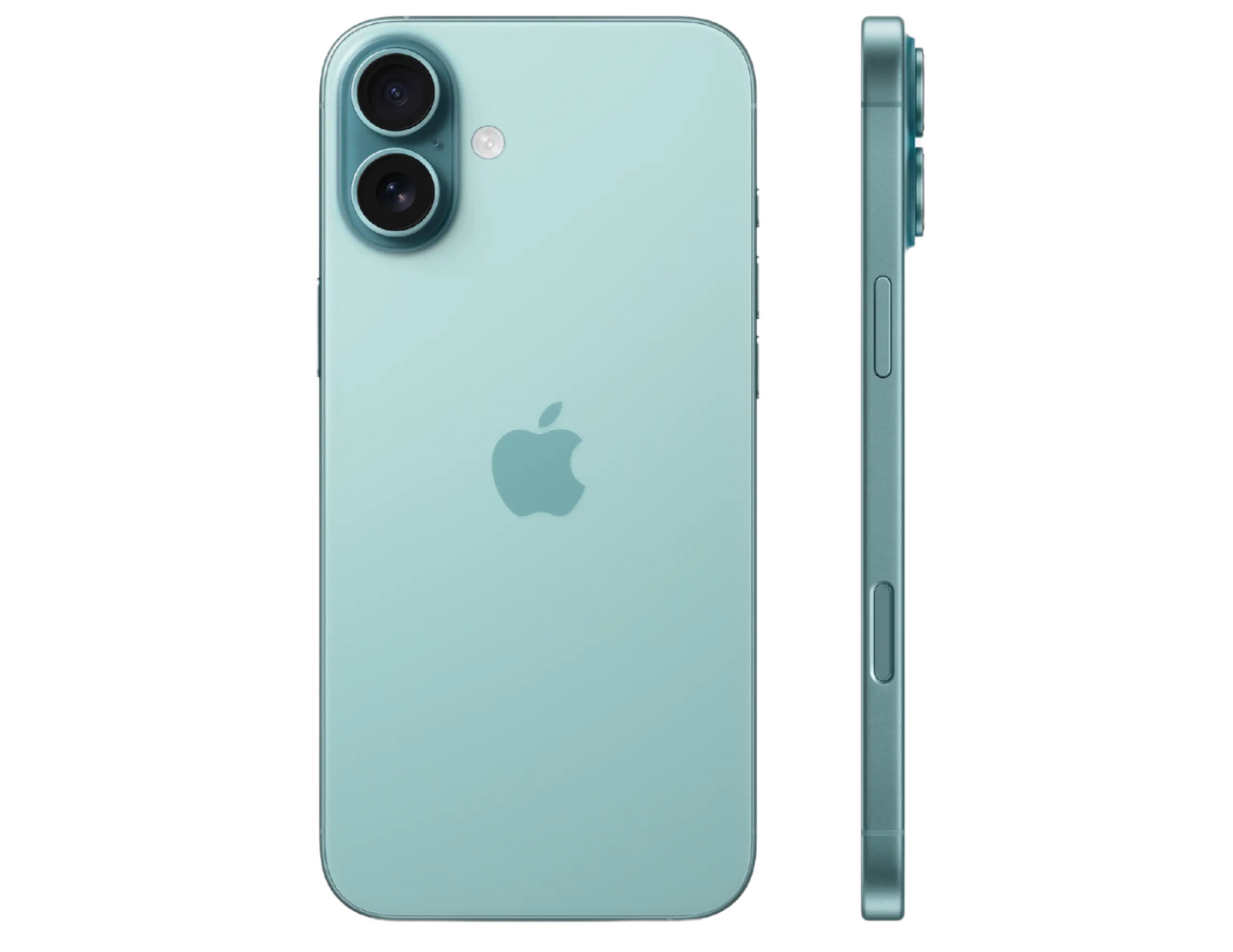 Apple iPhone 16 Plus back view in Teal