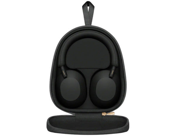 Black headphones in a carrying case on a white background