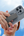 Uniq Heldro Max FlexGrip™ Case - MagSafe Compatible for iPhone 16 Pro & Pro Max