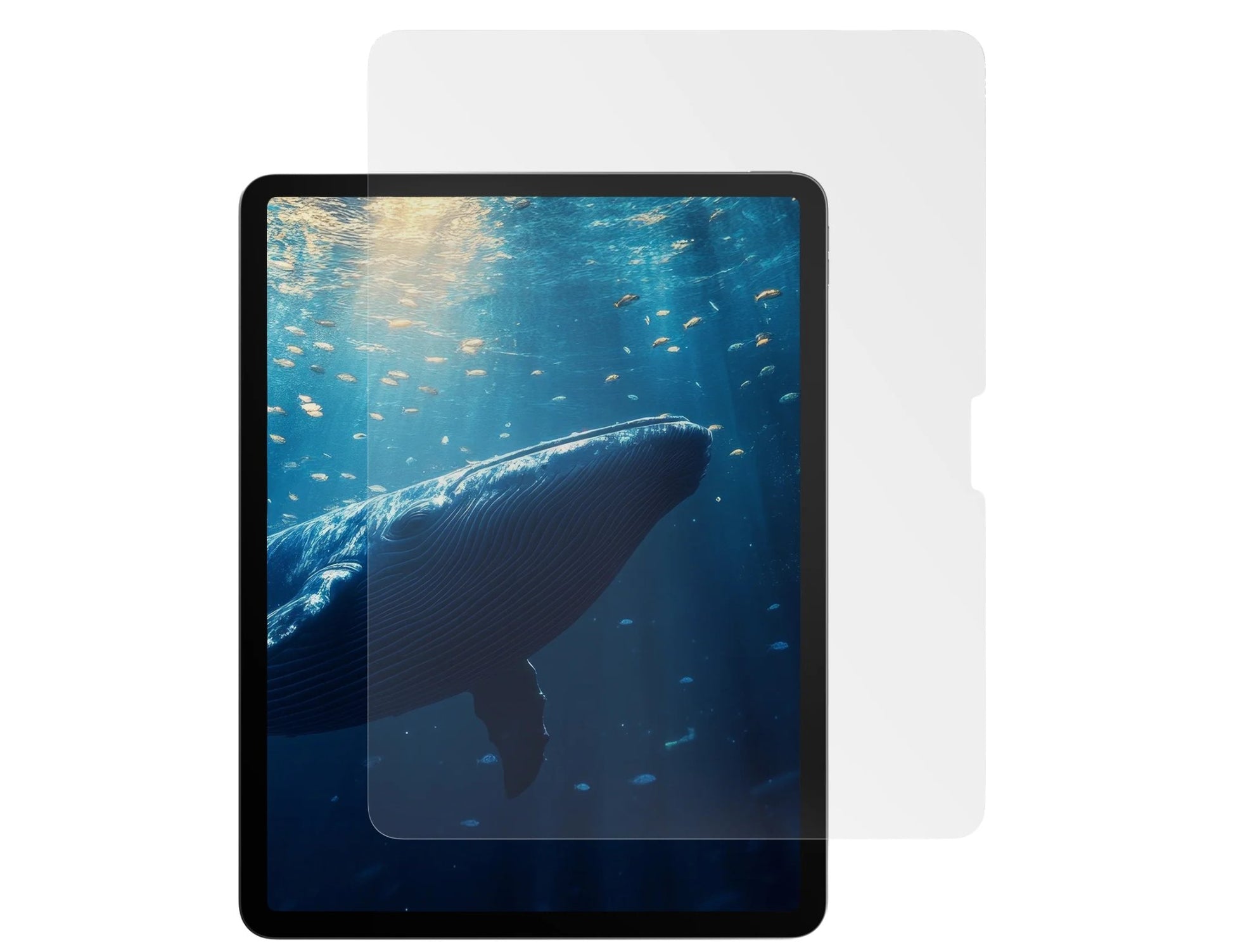 A screen protector for iPad series, featuring a clear appearance with a depiction of a whale in the background, indicating the product's anti-blue light functionality.