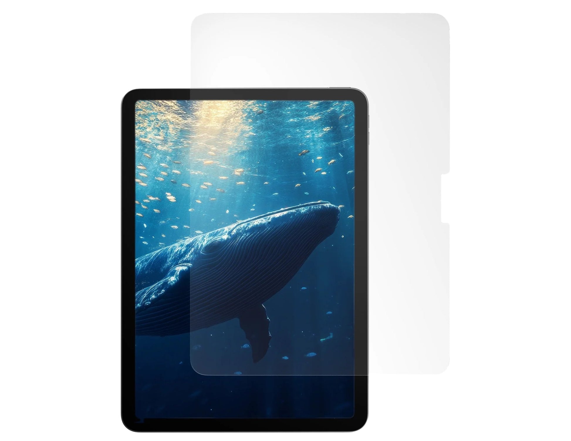 A screen protector for iPad series, featuring a clear appearance with a depiction of a whale in the background, indicating the product's anti-blue light functionality.