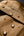 Close-up of a brown fabric surface with water droplets