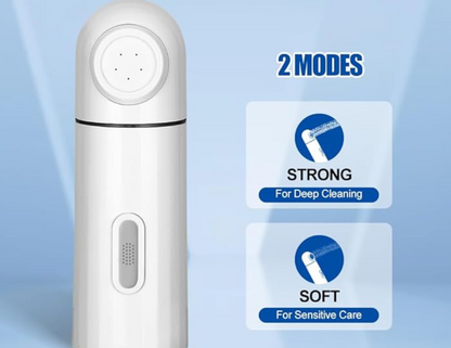 Bidet Electric Portable