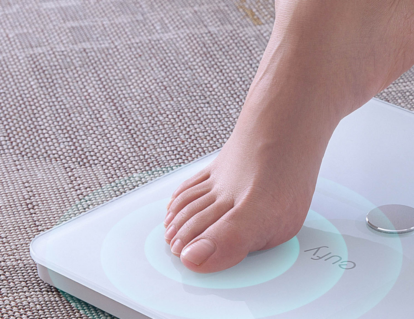 Eufy Smart Scale P1 - White