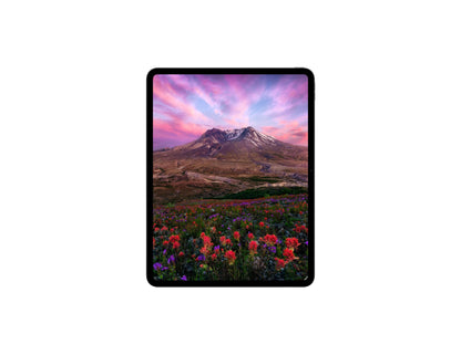 Apple iPad Pro 13-inch M5 256GB Wi-Fi Space Black Silver Standard Glass, Thabthaba Store Qatar