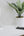 Belkin BoostCharge WCA009 20W USB-C charger foldable compact white Thabthaba Qatar