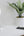 Belkin BoostCharge Compact 20W USB-C PD 3.1 Wall Charger White WCA009myWH for iPhone Samsung iPad and USB-C Devices