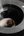 Close-up of the Egnite Electronic Incense Burner’s heating surface with a charcoal disc placed on top.