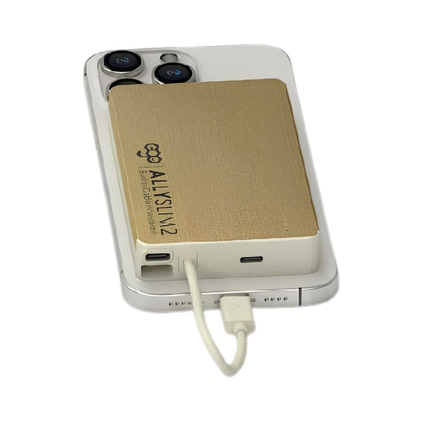 EGO AllySlim2 10000mAh magnetic power bank with built-in USB-C cable Titanium AS210-TI Qatar