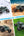 Gallop Storm Pro 1:16 4WD high-speed off-road RC car Blue with LED lights Qatar
