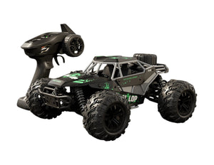 Gallopish Storm Pro HW8808 1:16 4WD high-speed off-road RC car Qatar