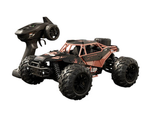 Gallopish Storm Pro HW8808 1:16 4WD high-speed off-road RC car Qatar