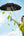 Rechargeable umbrella with built-in mist fan, UV protection, and Type-C charging