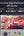 SJGAM R43 Pro Retro Handheld Game Console 64GB Grey with 4.3-inch IPS display and Linux EmuELEC system Qatar