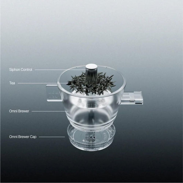 xBloom Omni Brewer Transparent tea dripper with reusable SUS316 stainless steel filter for xBloom Studio Qatar