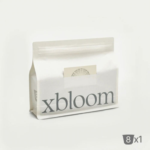 xBloom xPods Banko Gotiti Ethiopia 8 coffee capsules with mango lavender strawberry and apple notes in Qatar